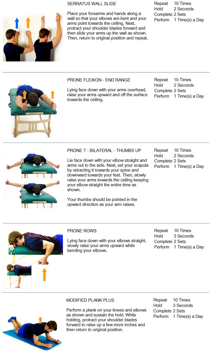 Back Exercises  Prone Scapular (Shoulder) Stabilization Series